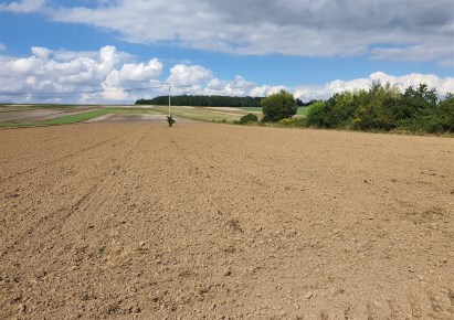 działka na sprzedaż - Gołcza, Czaple Małe