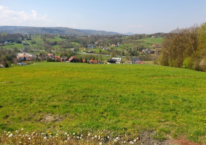 działka na sprzedaż - Myślenice (gw), Głogoczów