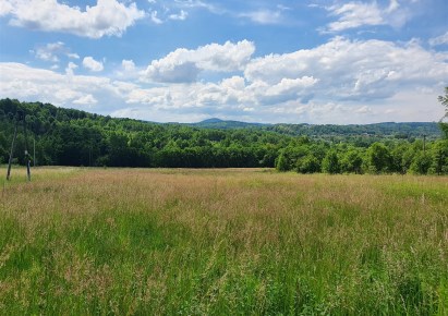 działka na sprzedaż - Lanckorona, Izdebnik