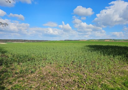 działka na sprzedaż - Miechów (gw), Nasiechowice