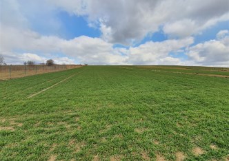działka na sprzedaż - Skała (gw), Cianowice Duże