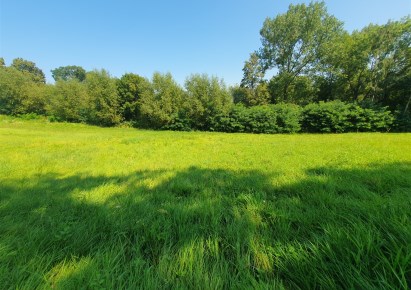 działka na sprzedaż - Brzeźnica, Tłuczań