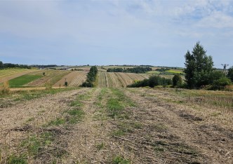 działka na sprzedaż - Skała (gw), Cianowice Duże