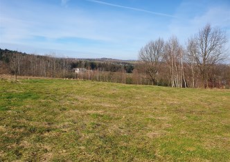 działka na sprzedaż - Raciechowice, Gruszów