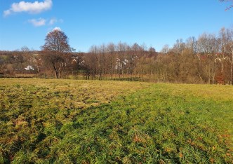 działka na sprzedaż - Myślenice (gw), Jawornik