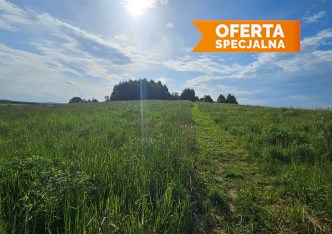 działka na sprzedaż - Jerzmanowice-Przeginia, Jerzmanowice