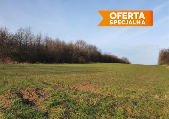 działka na sprzedaż - Skała (gw), Szczodrkowice