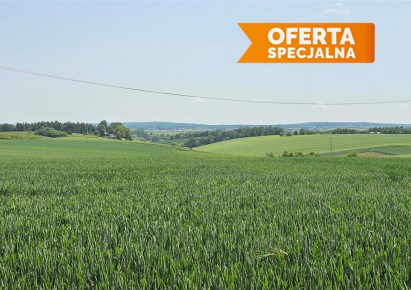 działka na sprzedaż - Iwanowice, Lesieniec