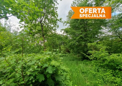 działka na sprzedaż - Świątniki Górne, Dział