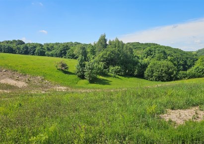 działka na sprzedaż - Jerzmanowice-Przeginia, Jerzmanowice