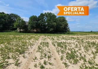 działka na sprzedaż - Iwanowice, Celiny