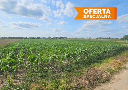 działka na sprzedaż - Igołomia-Wawrzeńczyce, Pobiednik Wielki