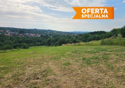 działka na sprzedaż - Biskupice, Tomaszkowice