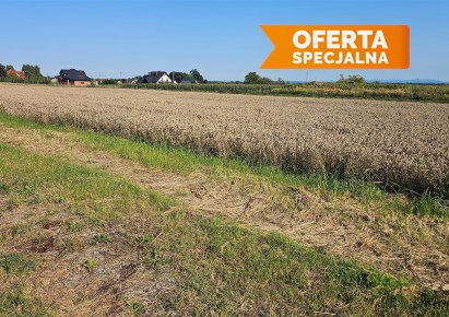 działka na sprzedaż - Kraków, Nowa Huta, Łuczanowice