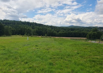 działka na sprzedaż - Lanckorona, Izdebnik