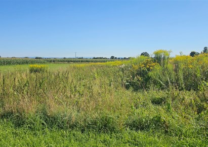 działka na sprzedaż - Czernichów, Zagacie