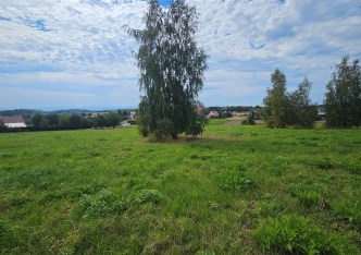 działka na sprzedaż - Wielka Wieś, Bębło