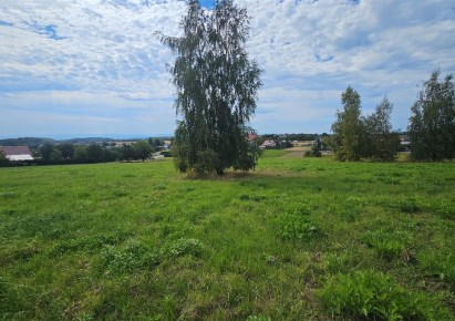 działka na sprzedaż - Wielka Wieś, Bębło