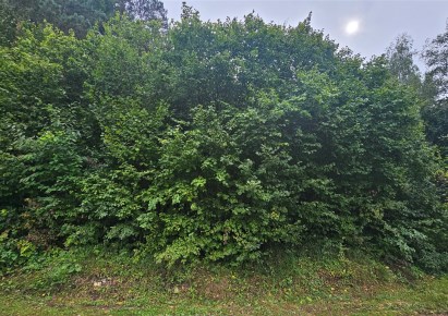 działka na sprzedaż - Skała (gw), Niebyła