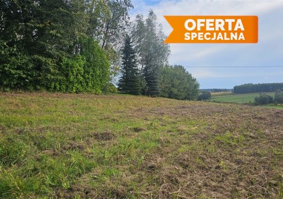 działka na sprzedaż - Trzyciąż, Zadroże