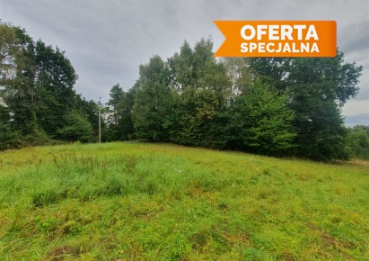 działka na sprzedaż - Wieliczka (gw), Chorągwica