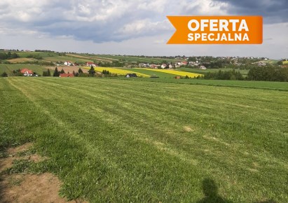 działka na sprzedaż - Skała (gw), Cianowice Duże