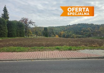 działka na sprzedaż - Wielka Wieś, Będkowice, Kawiory