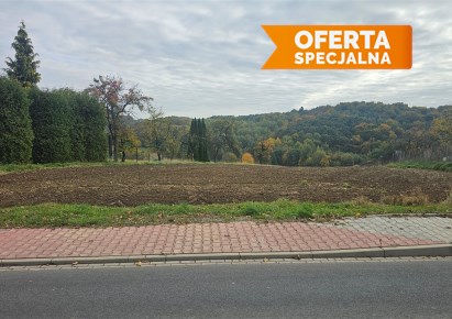 działka na sprzedaż - Wielka Wieś, Będkowice, Kawiory