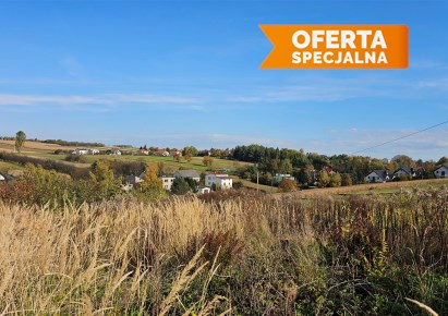 działka na sprzedaż - Skała (gw), Niebyła