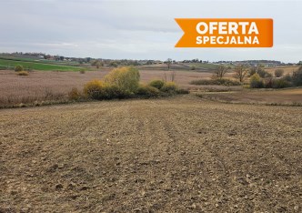 działka na sprzedaż - Koniusza, Karwin