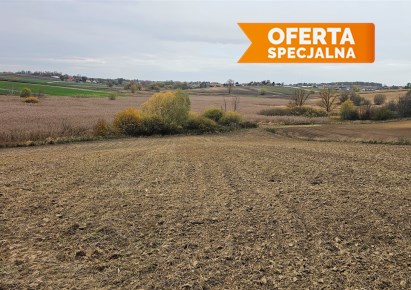 działka na sprzedaż - Koniusza, Karwin