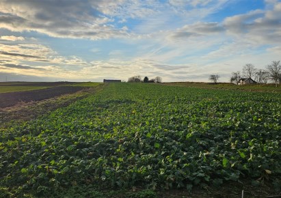 działka na sprzedaż - Kraków, Nowa Huta, Łuczanowice