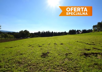 działka na sprzedaż - Lanckorona, Izdebnik