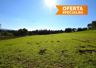 działka na sprzedaż - Lanckorona, Izdebnik