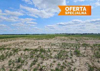 działka na sprzedaż - Iwanowice, Celiny