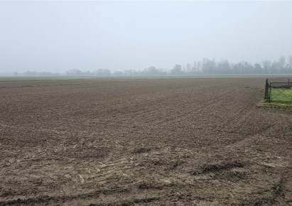 działka na sprzedaż - Gdów, Pierzchów