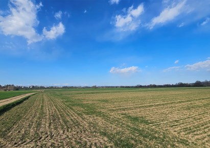 działka na sprzedaż - Gdów, Pierzchów