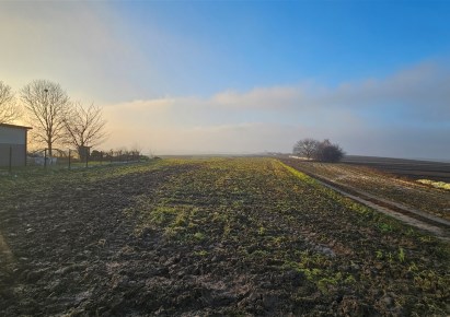 działka na sprzedaż - Igołomia-Wawrzeńczyce, Tropiszów