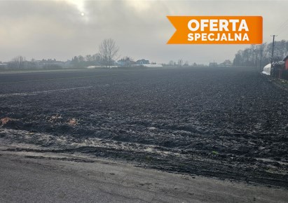 działka na sprzedaż - Igołomia-Wawrzeńczyce, Tropiszów