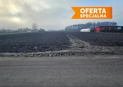 działka na sprzedaż - Igołomia-Wawrzeńczyce, Tropiszów