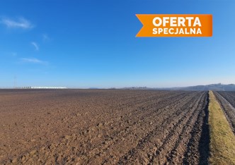 działka na sprzedaż - Koniusza, Wronin