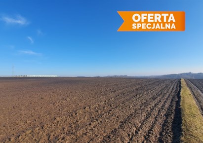 działka na sprzedaż - Koniusza, Wronin