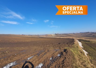 działka na sprzedaż - Koniusza, Wronin