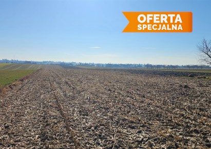 działka na sprzedaż - Słomniki (gw), Smroków