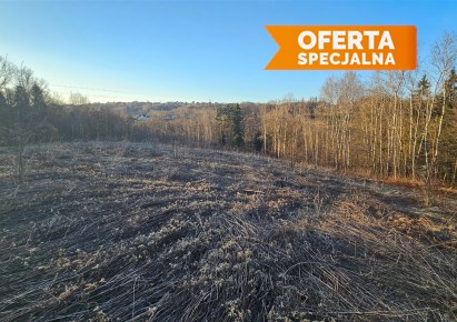 działka na sprzedaż - Myślenice (gw), Zawada