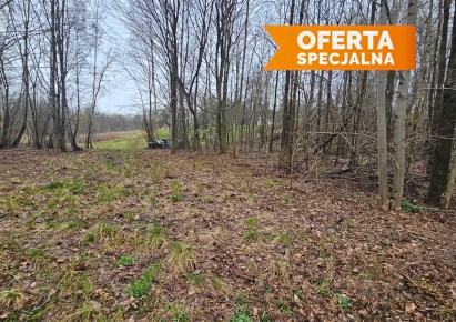 działka na sprzedaż - Mogilany