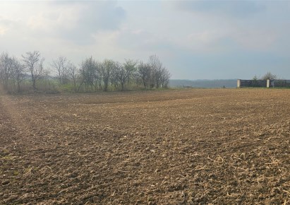 działka na sprzedaż - Iwanowice, Celiny