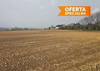 działka na sprzedaż - Iwanowice, Celiny
