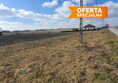 działka na sprzedaż - Słomniki (gw), Wężerów