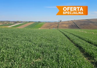 działka na sprzedaż - Kocmyrzów-Luborzyca, Głęboka